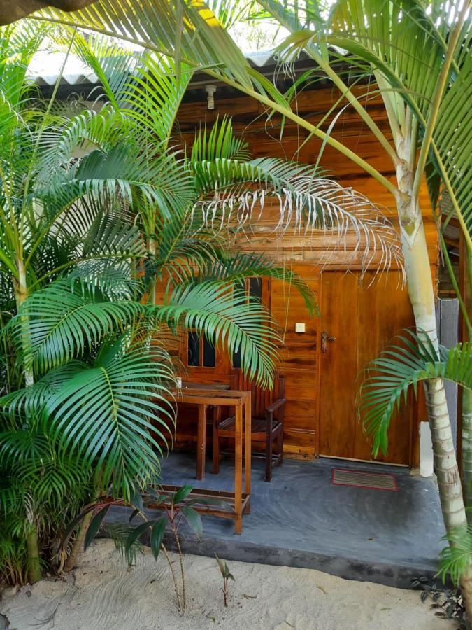 Eagle Resort Arugambay 阿鲁甘湾 外观 照片